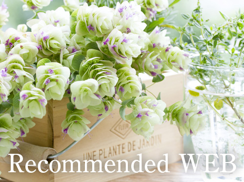 Recommended WEB